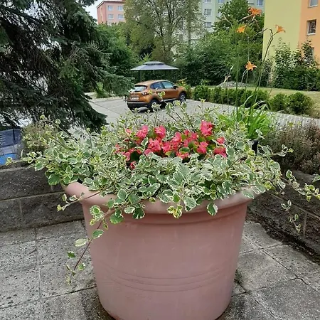 Apartman U Terezky V Chomutove * Chomutov